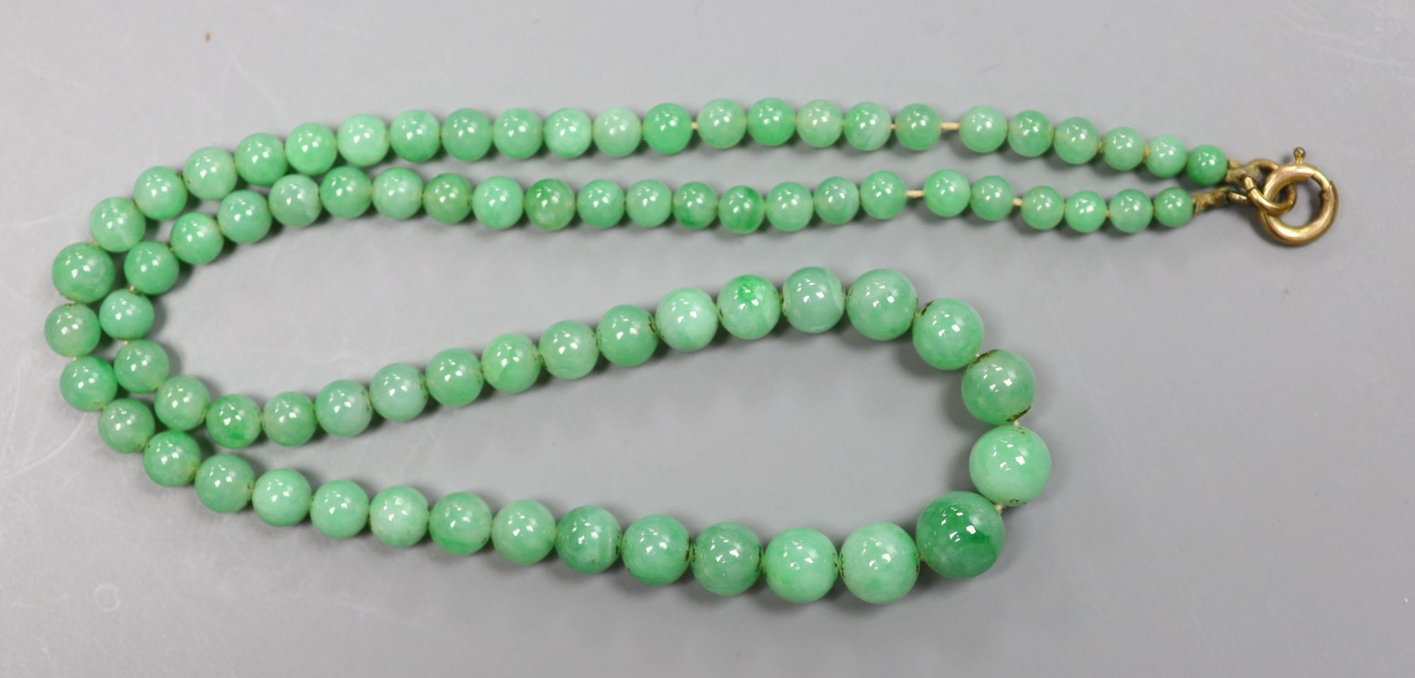 A single strand graduated jade bead necklace, 44cm, gross weight 23.6 grams.